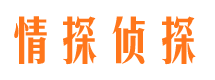 揭东市调查公司